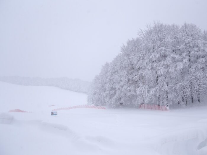 Neve in arrivo nel Lazio? Ecco quando e dove. Attenzione: tornano anche le basse temperature e la pioggia