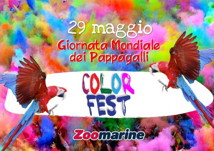 Zoomarine, il Colorfest per la Giornata mondiale dei pappagalli: domenica 29 maggio 2016