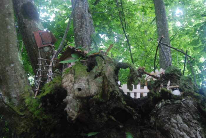 Ciciliano, torna Animabosco: il 26 giugno dalle 9 al tramonto