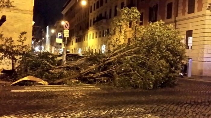 Rosati (Lega): "Municipio VIII inerme di fronte alla caduta degli alberi a Roma"