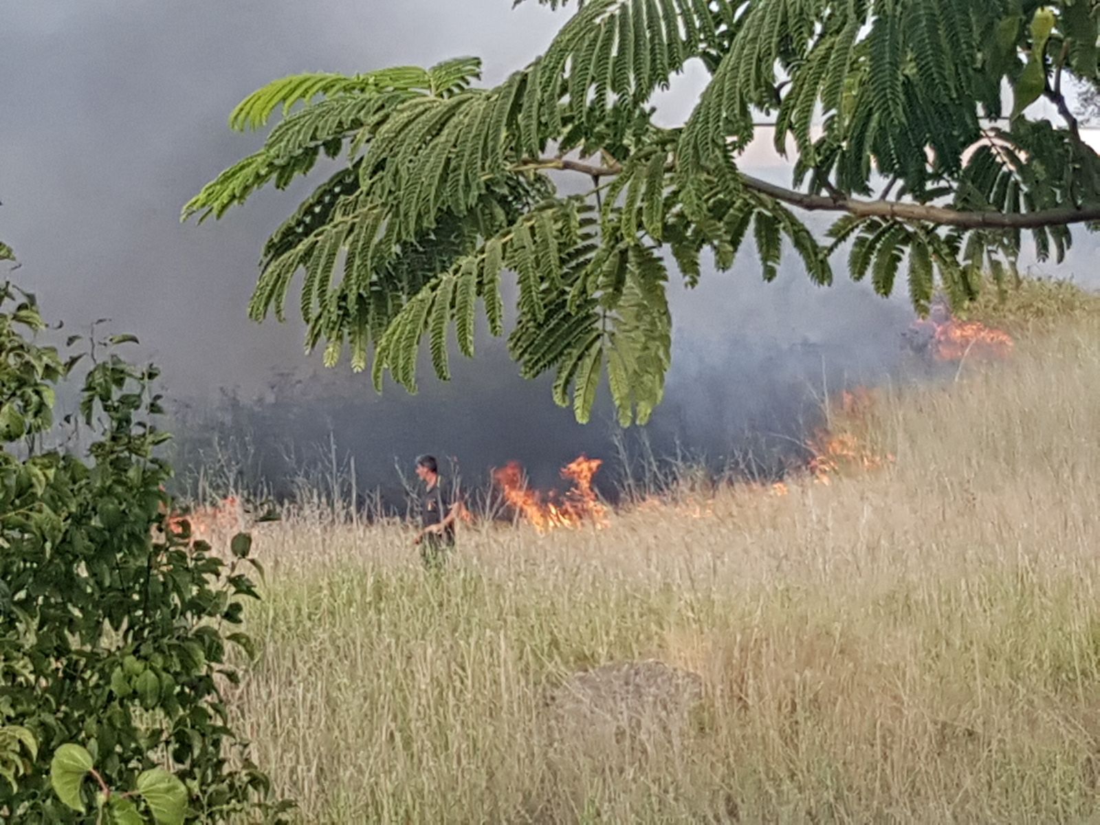 tor cervara incendio