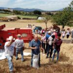 Paliano, Cerealia: passione e tradizione nel segno del grano monococco (FOTO)