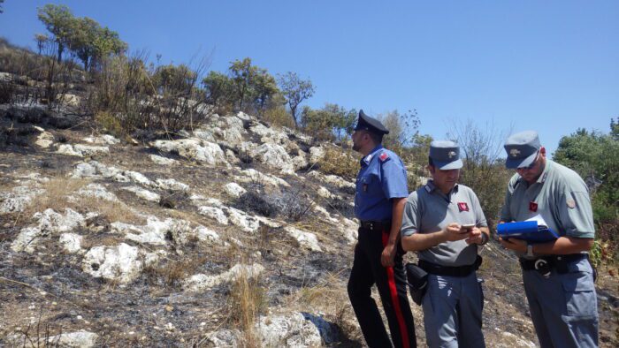 Castel Fusano, arrestato piromane: colto in flagrante mentre appiccava incendio