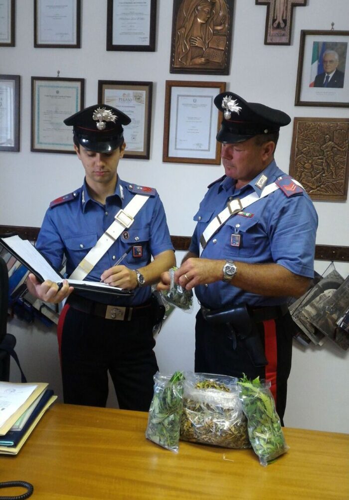 Formello e Cesano, blitz antidroga: sequestrate piante di marijuana e arrestate tre persone