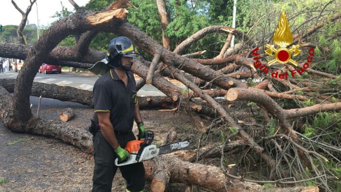 Roma alberi caduti strada boccea laurentina magliana quadraro oggi martedì 5 novembre 2019