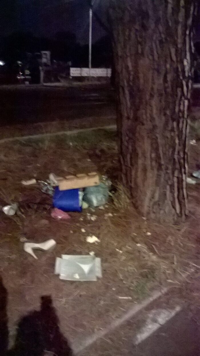 Viale Palmiro Togliatti, serata operativa del circolo FdI-AN Tuscolano per impedire il degrado