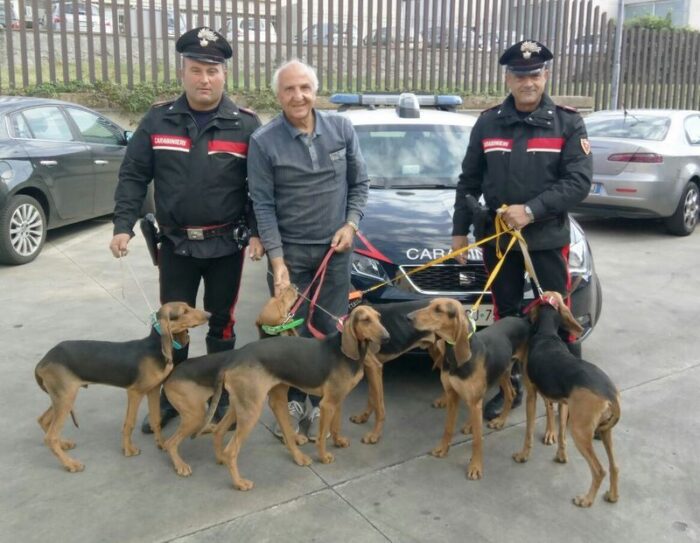 bracciano cani rubati