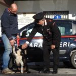 Prima Porta, due persone arrestate per spaccio: a tradirli sono stati i loro movimenti sospetti. Droga rinvenuta grazie al cane