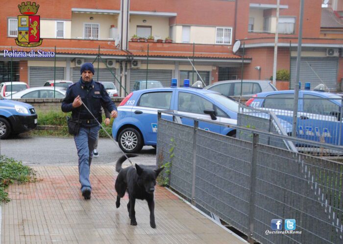 Colleferro, pusher preso dalla Polizia dopo la fuga: fondamentale l'aiuto dell'unità cinofila