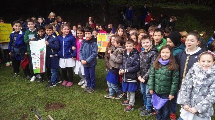 Ladri della palma al parco dell'ombrellino di Frascati: gli studenti della scuola primaria gli scrivono una lettera