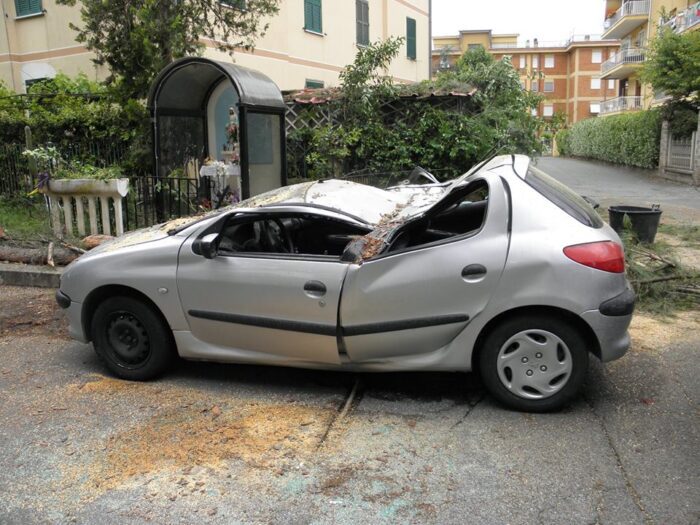 Villa Adriana, albero segnalato come pericolante caduto alle 5 di stamattina: tragedia sfiorata in via Lago di Garda