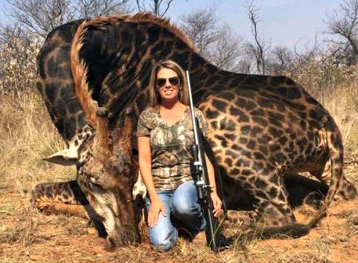 Giraffa uccisa per foto ricordo. Suscita indignazione il selfie shock su Facebook