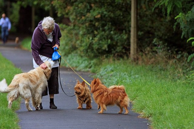 Roma, adozione di cani e gatti nei centri anziani: il progetto sperimentale