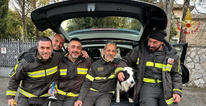 Cassino, salvato un cane rimasto intrappolato in una macchina di turisti