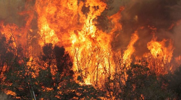 Frosinone, prevenzione rischio incendi: l'ordinanza