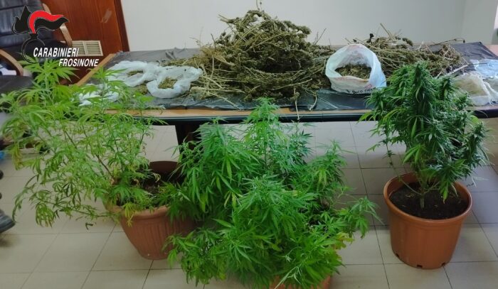 Alatri, coltiva marijuana sul balcone: arrestato 44enne