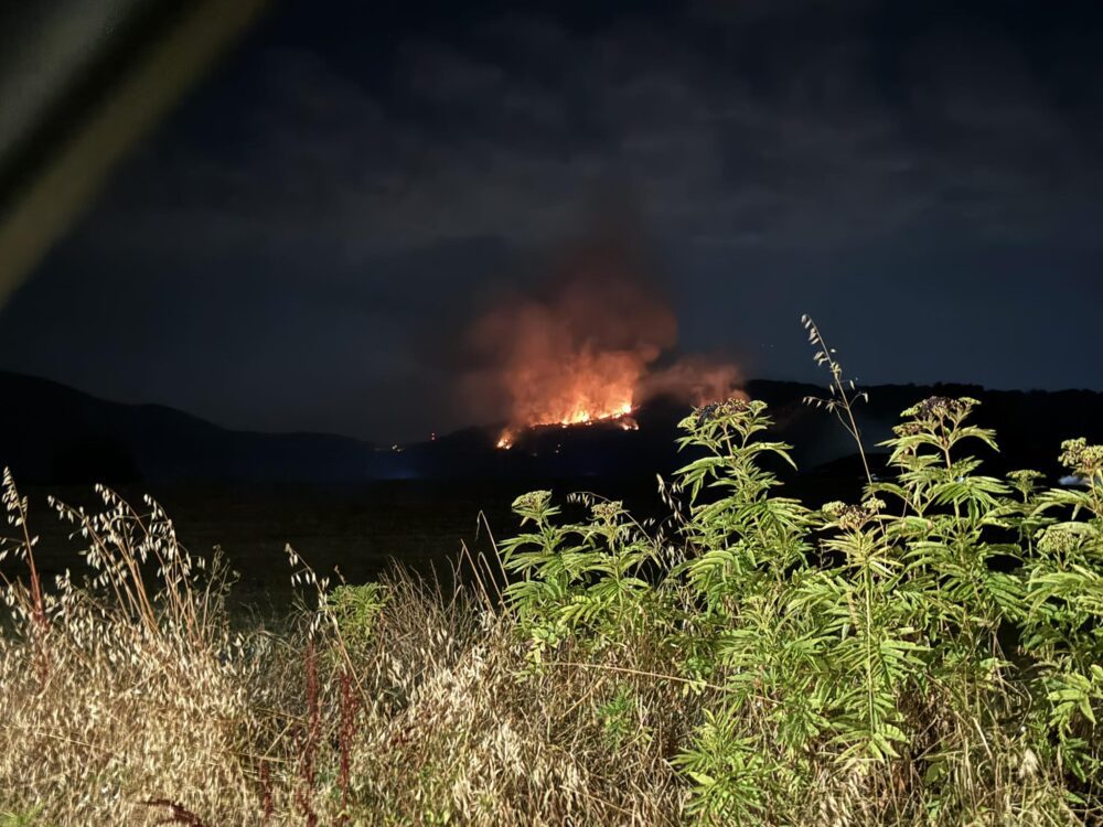 Incendio Artena lettrice