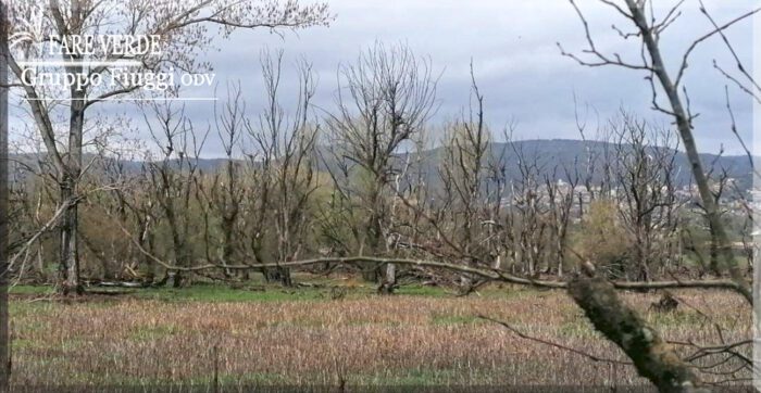 Primo censimento alberi nella Riserva Naturale del Lago di Canterno