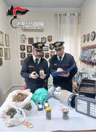 Piedimonte San Germano, sorpreso con la droga in casa: arrestato un giovane