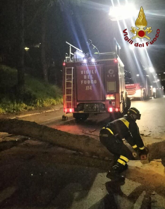 Maltempo a Roma: circa 90 gli interventi dei Vigili del Fuoco per alberi e rami pericolanti